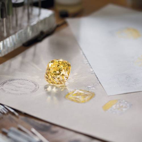 Tiffany & Co.’s rarest diamonds